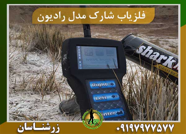 شارک مدل رادیون ۲۰۲۰