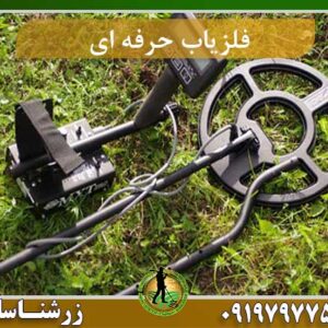 فلزیاب حرفه ای