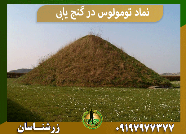 نماد تومولوس در گنج یابی