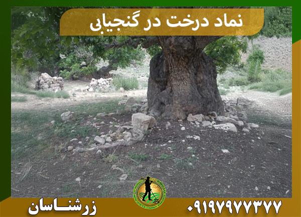  نماد درخت در گنجیابی