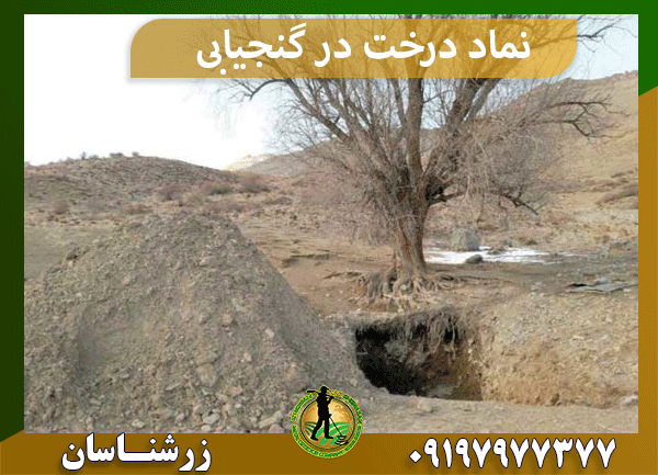  نماد درخت در گنجیابی
