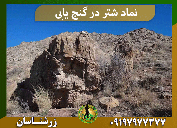 نماد شتر در گنج یابی