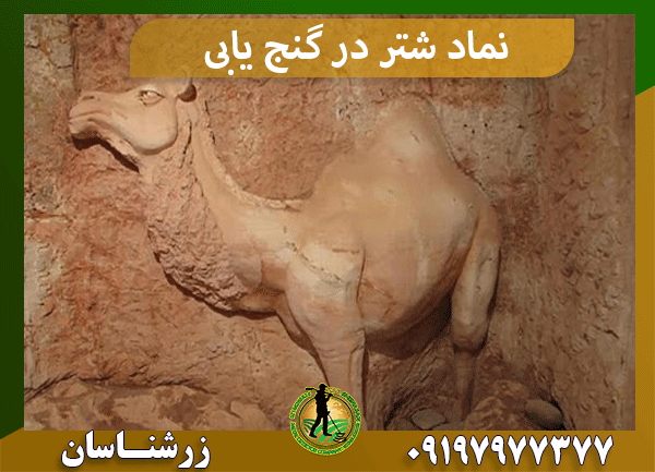 نماد شتر در گنج یابی