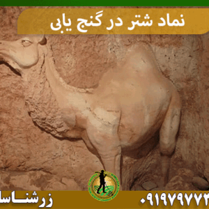 نماد شتر در گنج یابی