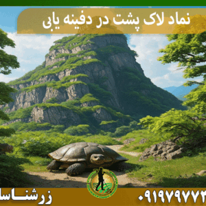 نماد لاک پشت در دفینه یابی