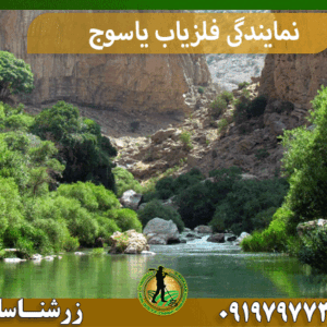 نمایندگی فلزیاب یاسوج