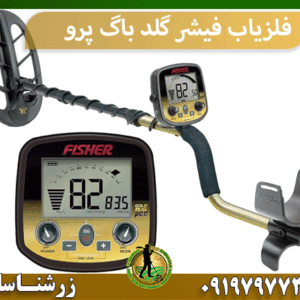 فلزیاب فیشر گلد باگ پرو