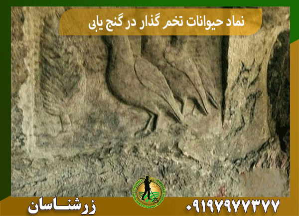 نماد حیوانات تخم گذار در گنج یابی