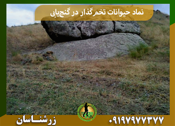 نماد حیوانات تخم گذار در گنج یابی