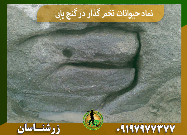 نماد حیوانات تخم گذار در گنج یابی