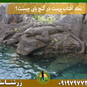 نماد آفتاب پرست در گنج یابی چیست؟