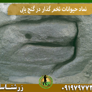 نماد حیوانات تخم گذار در گنج یابی