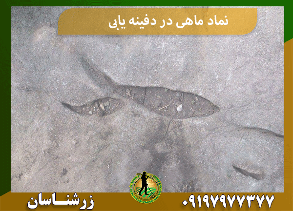 نماد ماهی در دفینه یابی