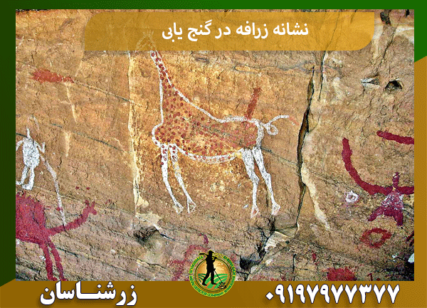 نشانه زرافه در گنج یابی
