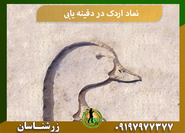 نماد اردک در دفینه یابی