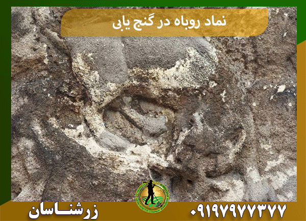 نماد روباه در گنج‌یابی