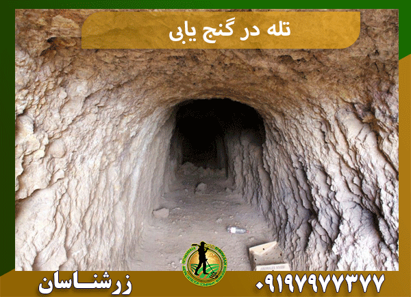 تله در گنج یابی