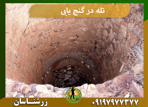 تله در گنج یابی
