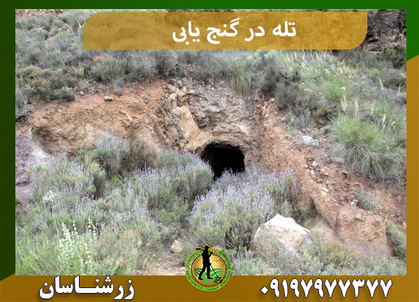 تله در گنج یابی
