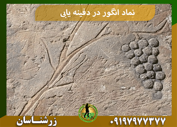 نماد انگور در دفینه یابی