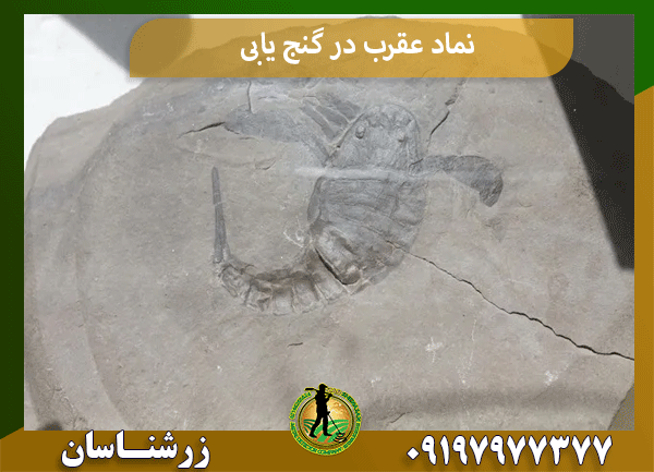 نماد عقرب در گنج یابی