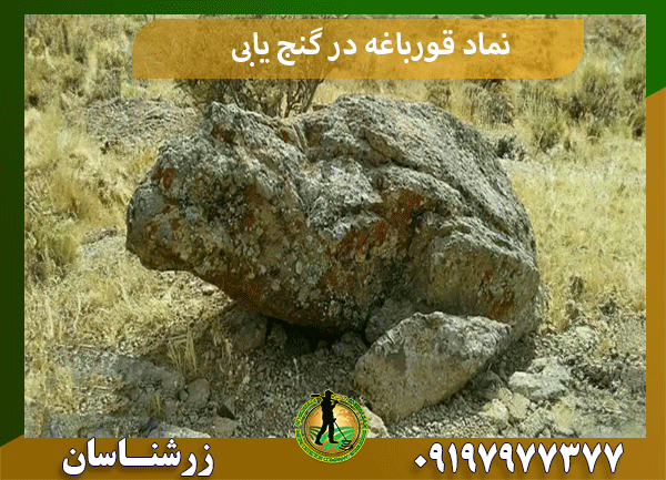 نماد قورباغه در گنج یابی