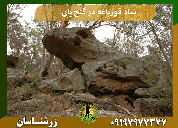نماد قورباغه در گنج یابی