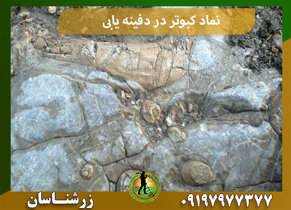 نماد کبوتر در دفینه یابی