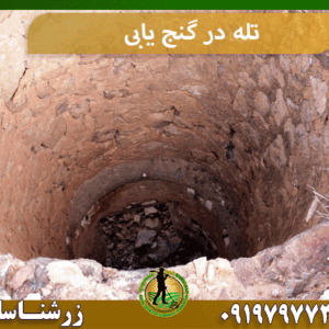تله در گنج یابی