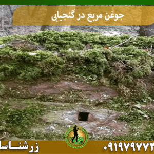 جوغن مربع در گنجیابی