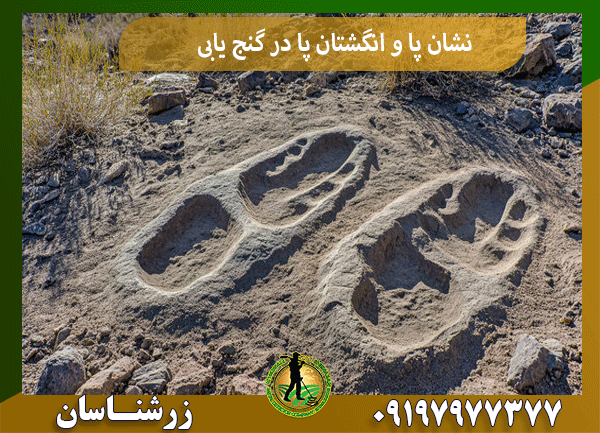 نشان پا و انگشتان پا در گنج یابی