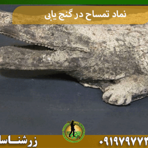 نماد تمساح در گنج یابی
