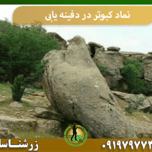 نماد کبوتر در دفینه یابی