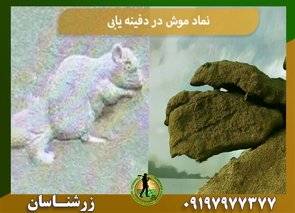 نماد موش در دفینه یابی