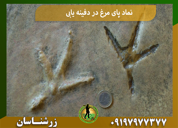 نماد پای مرغ در دفینه یابی