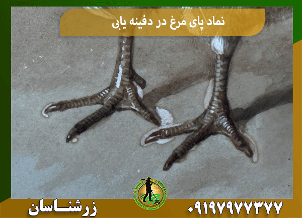 نماد پای مرغ در دفینه یابی