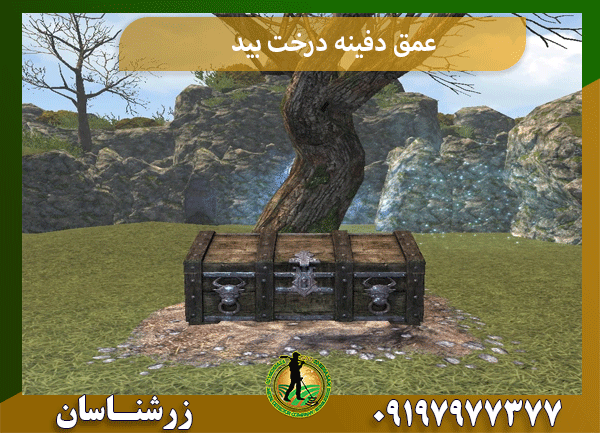 عمق دفینه درخت بید