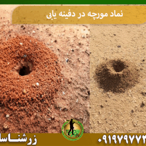 نماد مورچه در دفینه یابی