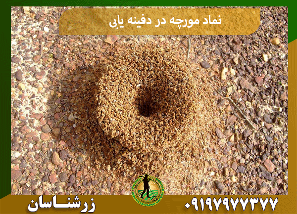 نماد مورچه در دفینه یابی
