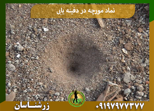 نماد مورچه در دفینه یابی