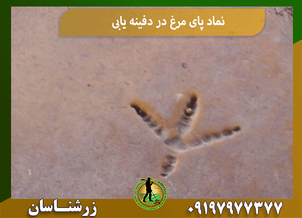 نماد پای مرغ در دفینه یابی