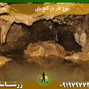 نوع غار در گنج یابی