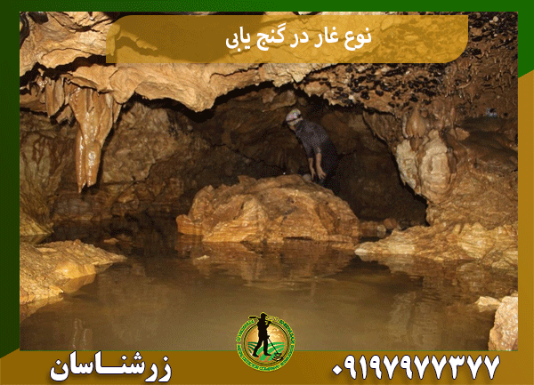 نوع غار در گنج یابی