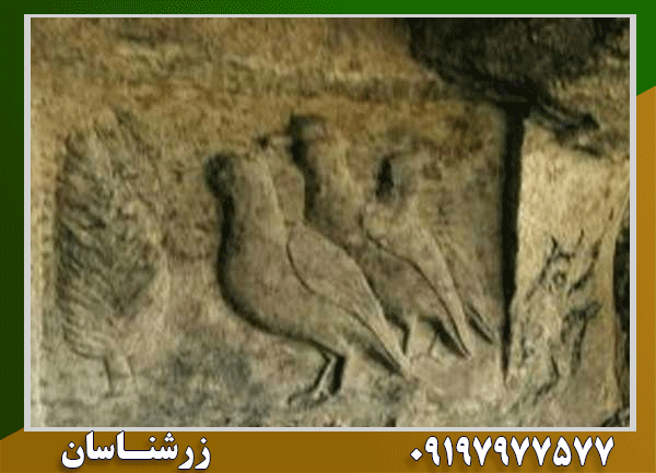 نماد کبک در دفینه یابی