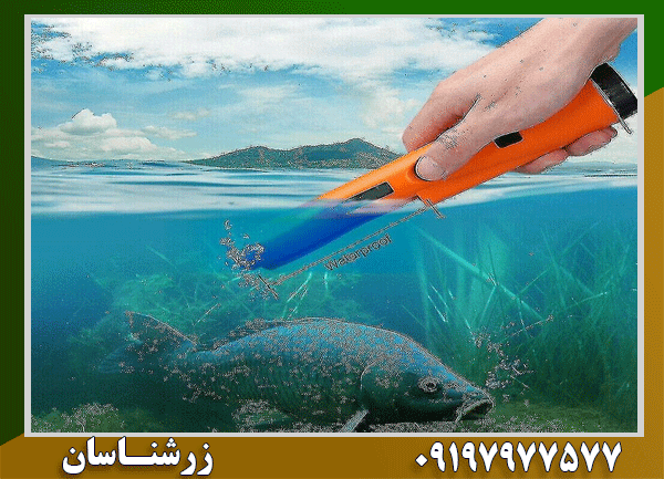 فلزیاب جی پوینتر